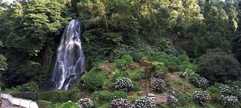 Furnas Volcano: Full Day Tour, Hot Springs & Waterfalls - Authentic Experiences and Tips from Reviews