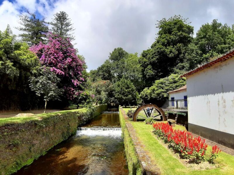 Furnas Volcano: Full Day Tour, Hot Springs & Waterfalls - Who Will Love This Tour?