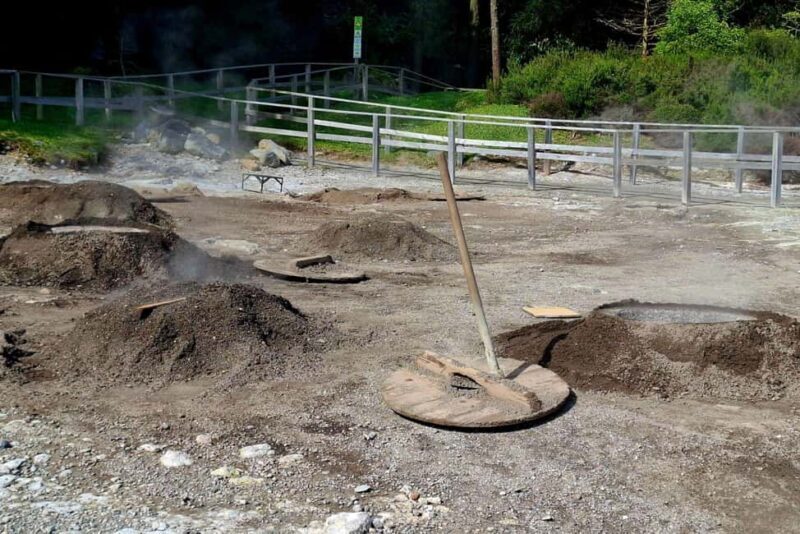 Furnas Volcano Wonders, Tea Plantation & Waterfall Tour - Frequently Asked Questions