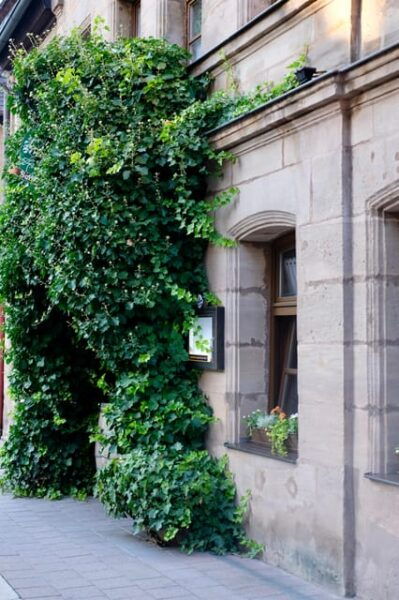 Furth: Culinary and Historical Walking Tour - Frequently Asked Questions