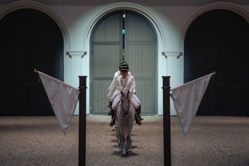Furusiyya: The Return to Origins - ADREA Show Ticket - The story behind Furusiyya