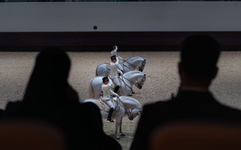 Furusiyya: The Return to Origins - ADREA Show Ticket - What happens during the 60-minute show