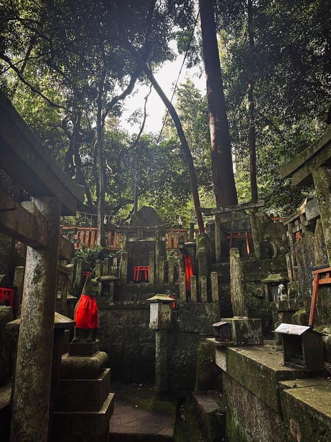 Fushimi Inara-Taisha Imaginary Experience - Booking Information