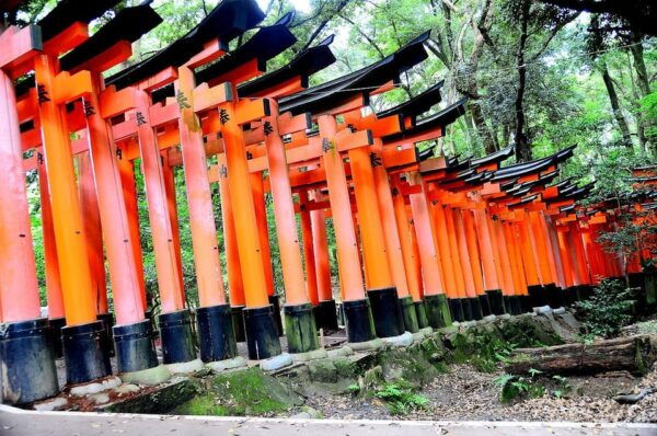 Fushimi Inara-Taisha Imaginary Experience - Immersive Journey