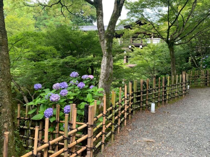 Fushimi Inari Deep Adventure: Hidden Trails & Shrine Ritual - Who Will Love This Tour?