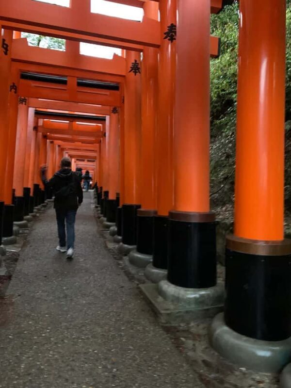 Fushimi Inari Deep Adventure: Hidden Trails & Shrine Ritual - Good To Know