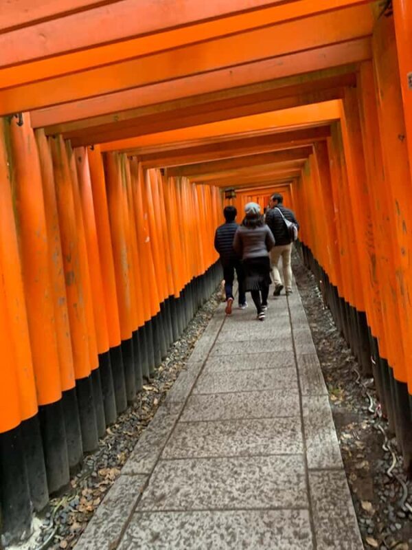 Fushimi Inari Deep Adventure: Hidden Trails & Shrine Ritual - Who Should Consider This Tour?