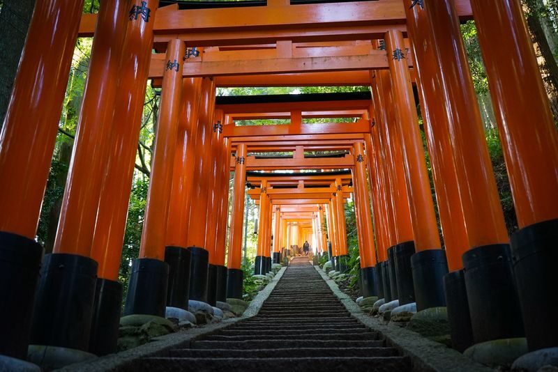 Fushimi Inari Hidden Hiking Tour: Escape the Crowds - The torii gates, seen at a slower pace