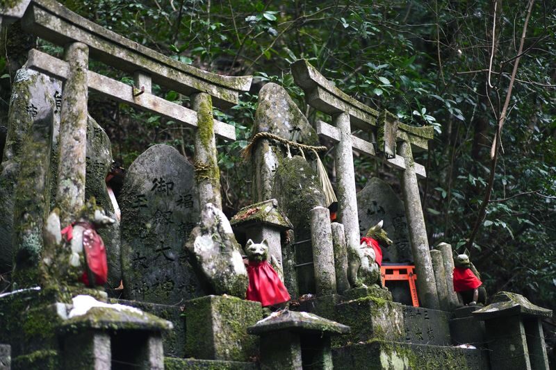 Fushimi Inari Hidden Hiking Tour: Escape the Crowds - How demanding is the hike?
