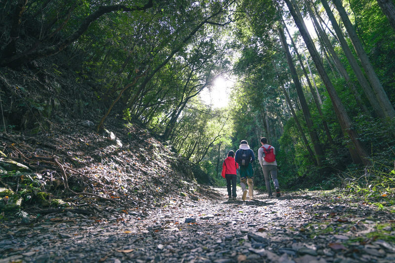 Fushimi Inari Hidden Hiking Tour: Escape the Crowds - Should you book this Fushimi Inari hike?