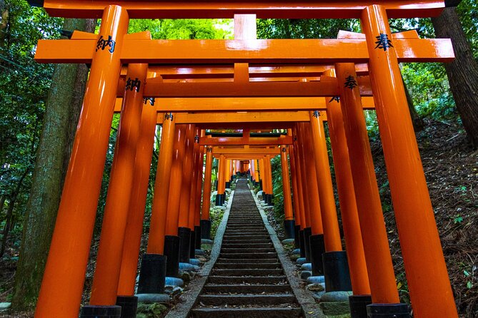 Fushimi Inari Mountain Hiking Tour With a Local Guide - Cancellation Policy and Refund Information