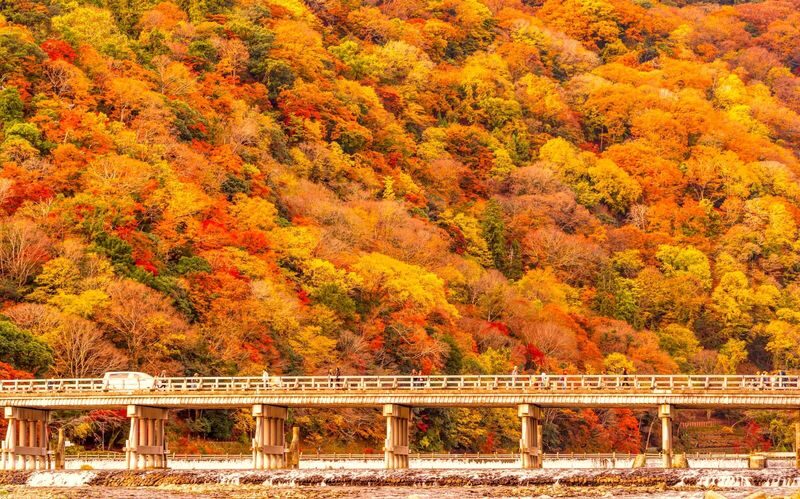 Fushimi Inari-Taisha | Arashiyama |Kiyomizu-Dera Day Tour from Kyoto - Timing, comfort and practical details