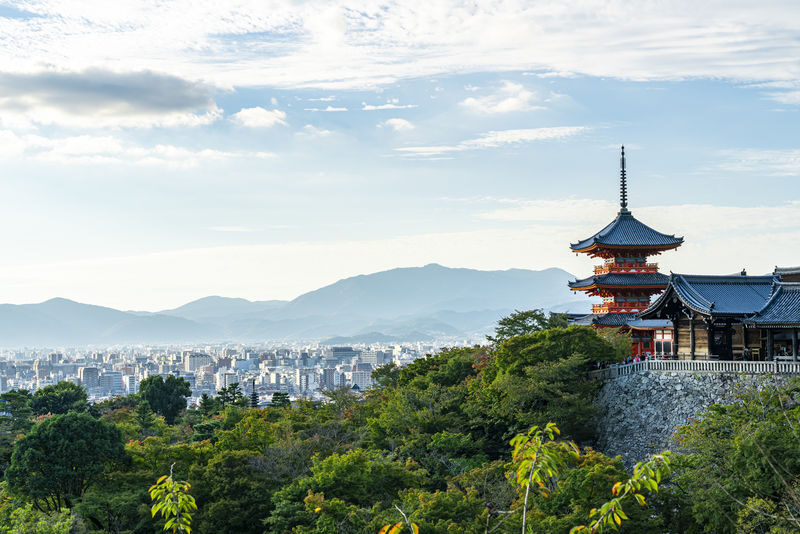 Fushimi Inari-taisha, Arashiyama, Kiyomizudera, Kinkaku-ji Day Tour - Four Kyoto classics, without the transfer puzzle