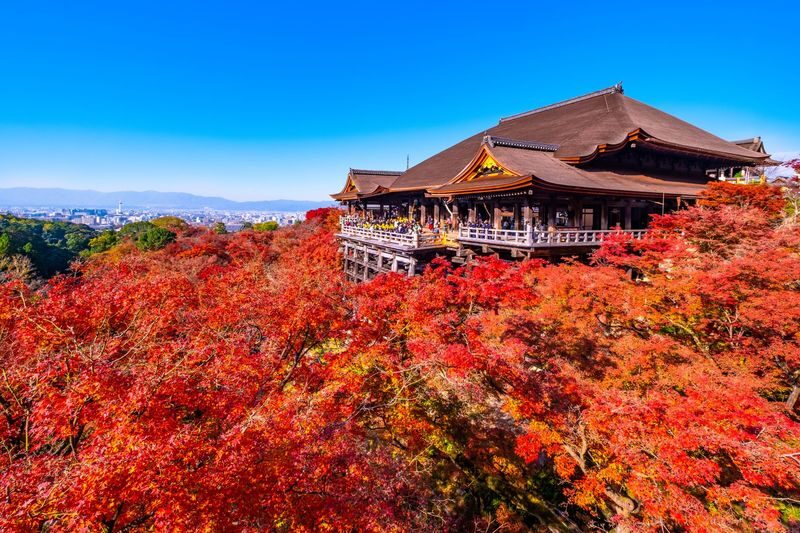 Fushimi Inari-taisha, Arashiyama, Kiyomizudera, Kinkaku-ji Day Tour - What the price gets you