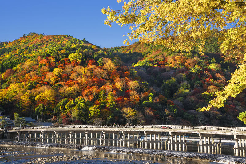 Fushimi Inari-taisha, Arashiyama, Kiyomizudera, Kinkaku-ji Day Tour - Who should book this day tour