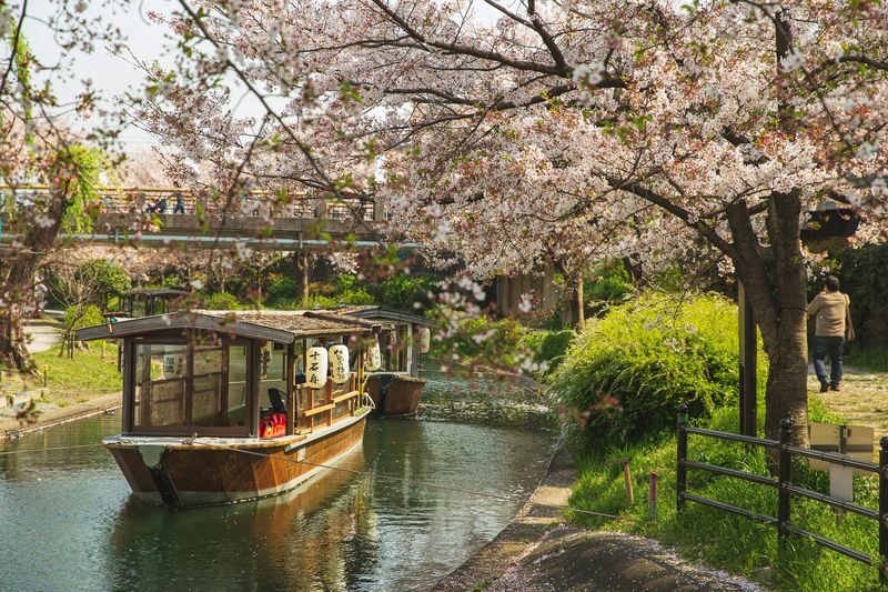 Fushimi Kyoto Tour with Sake Tasting & Canal Boat Ride - Why Fushimi works well on foot and by boat