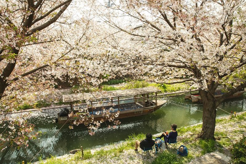 Fushimi Kyoto Tour with Sake Tasting & Canal Boat Ride - A final pause at Fushimi Yume Hyakushu Cafe