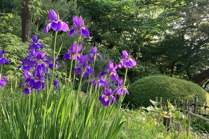 Futakotamagawa Suburban Gems Private Tour in Tokyo - An In-Depth Look at the Futakotamagawa Private Tour