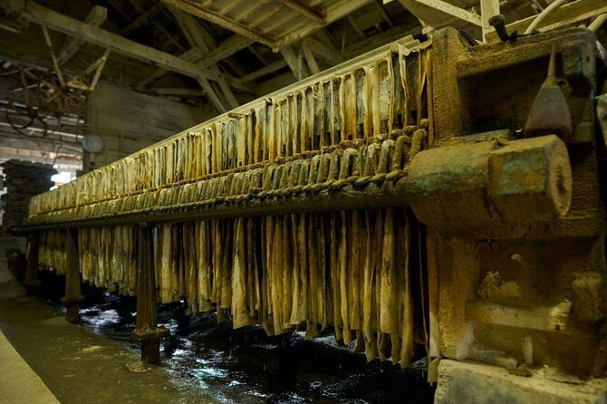 Futamata Clay Factory Tour - The Sum Up
