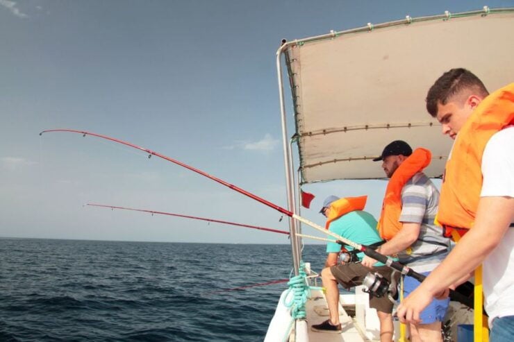 Fuzeta: 2.5-Hour Sport Fishing Tour - Activity Details