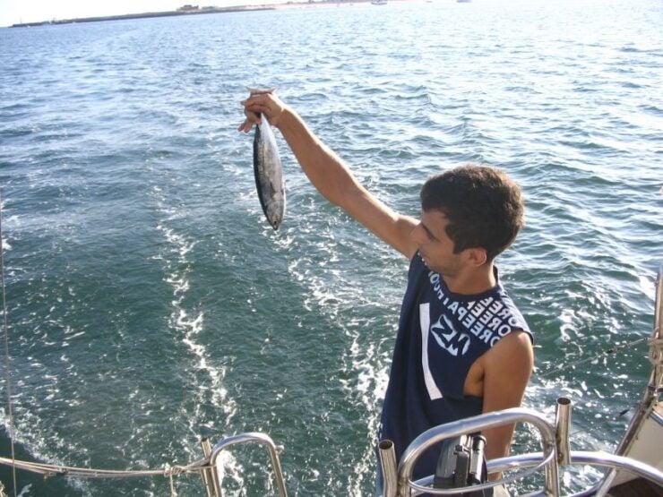 Fuzeta: 2.5-Hour Sport Fishing Tour - Experience
