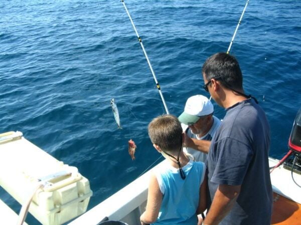 Fuzeta: 2.5-Hour Sport Fishing Tour - Common Questions