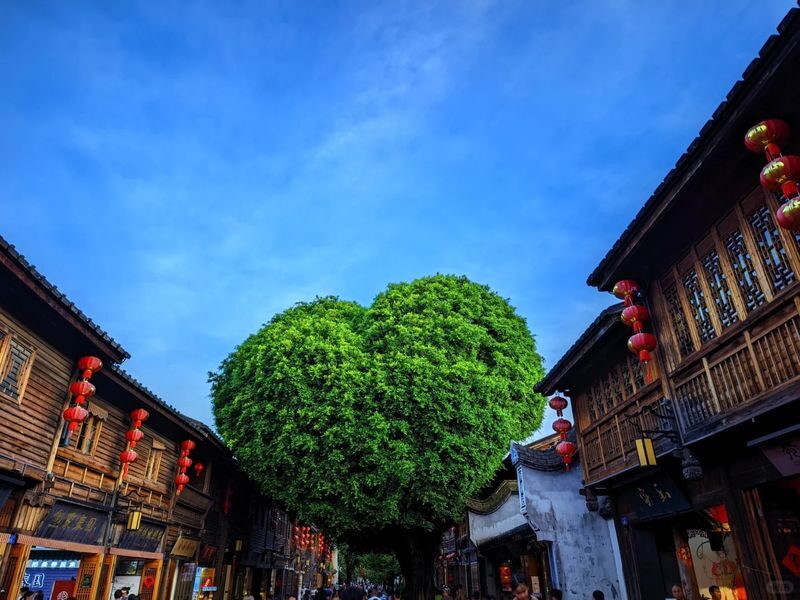 Fuzhou Day Trip | Three Lanes and Seven Alleys + Shangxiahang + Water Bus - A full day from old Fuzhou to the Min River