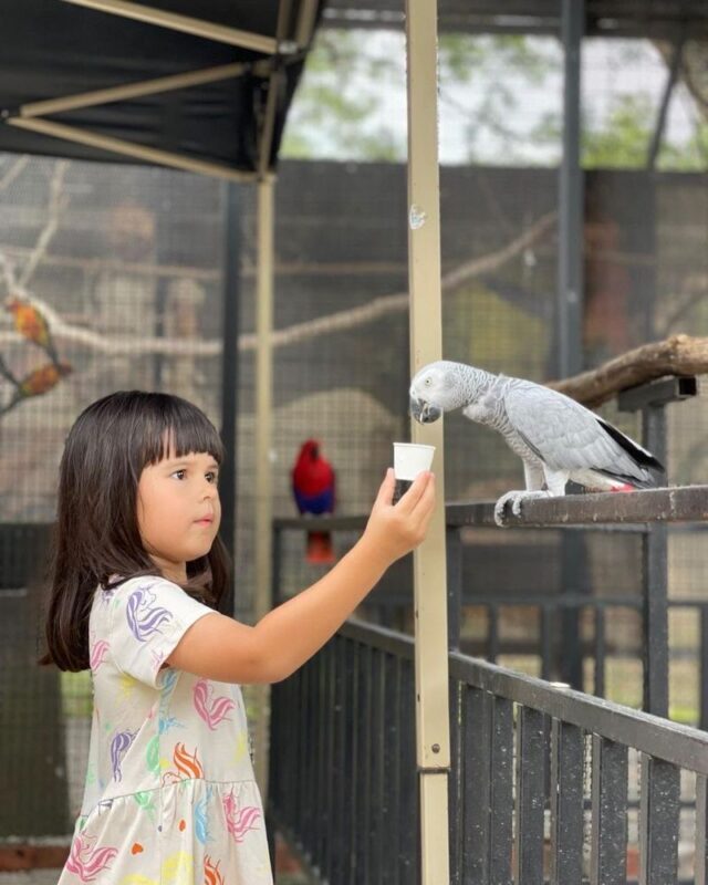 G2G Animal Garden Ticket at Serdang Selangor - Close encounters are the main event