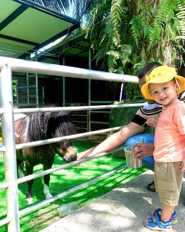 G2G Animal Garden Ticket at Serdang Selangor - A pony ride is an optional extra