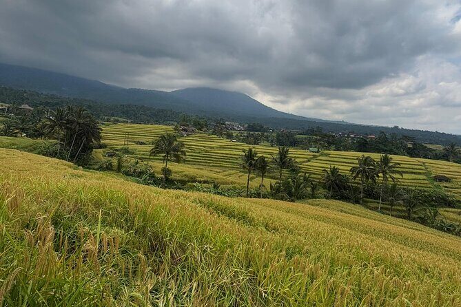 GAD Tanah Lot Tour - Exploring the Itinerary in Detail
