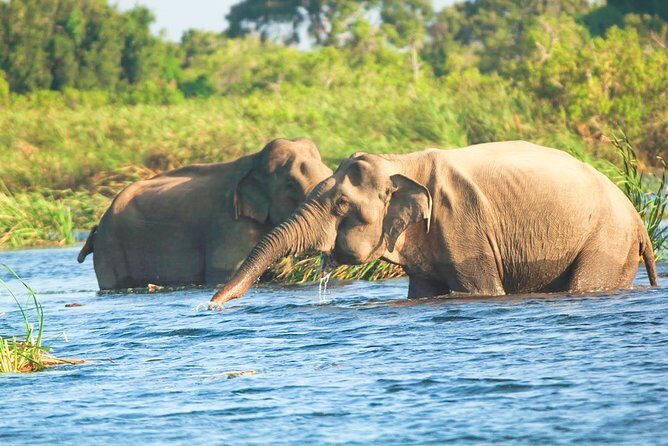 Gal Oya National Park Safari - FAQ