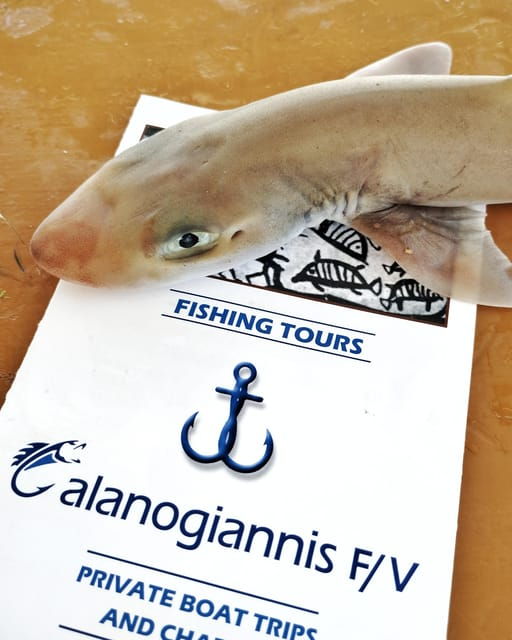Galanogiannis: Fishing, Free Diving, and Island Hopping Tour - Free Diving Experience