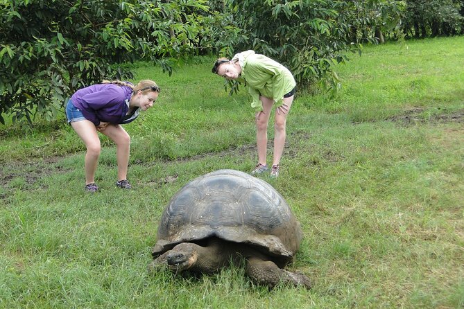 Galapagos Active Adventure Three Islands 8 Days - Wildlife Encounters