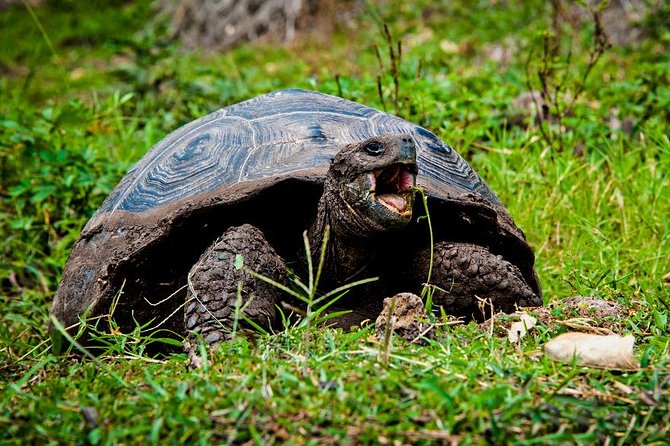 Galapagos By Land And Sea 4d-3n - Itinerary Overview