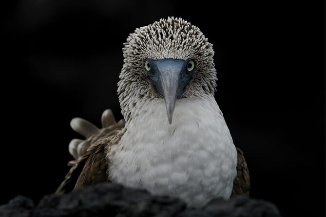 Galapagos Enchanting 3 Islands (5 Days) - Tour Highlights
