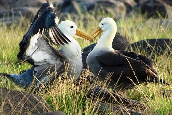 Galapagos - Exploring San Cristobal Island 4 Days - Day 2: Wildlife Encounters