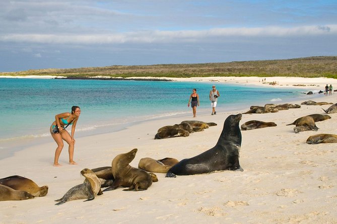 Galapagos - Exploring San Cristobal Island 4 Days - Day 3: Island Adventures