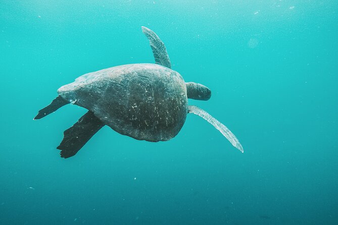 Galapagos Private Full-Day Beach and Snorkel Tour  - San Cristobal - Pricing and Duration