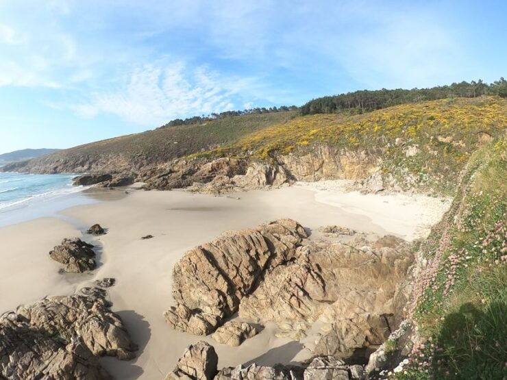 Galicia: Camino Dos Faros Guided Hiking Tour - Flexibility and Convenience