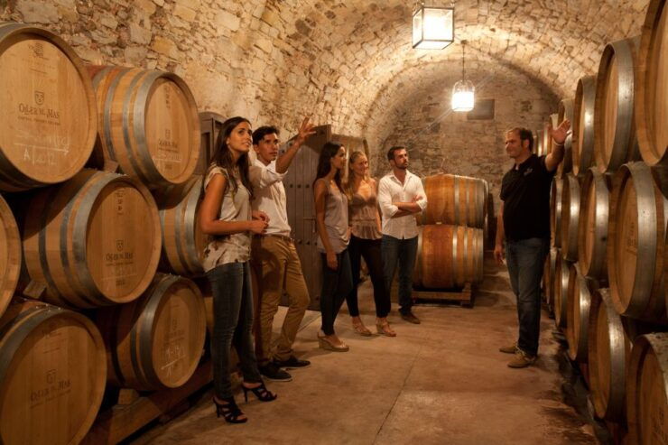 Galicia: Group Winery Tour and Tasting - Experience Highlights