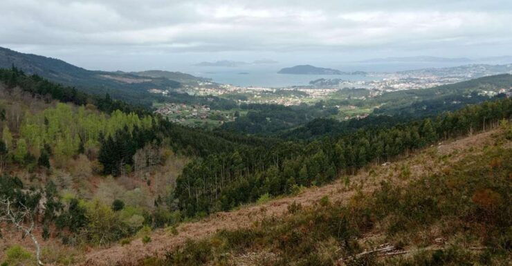 Gallaecian-Roman Gold Mining in Serra Da Groba Tour - Good To Know