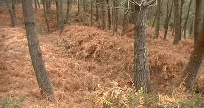 Gallaecian-Roman Gold Mining in Serra Da Groba Tour - Guided Exploration