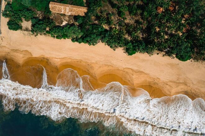 Galle: All Inclusive Private Day Tour From Colombo & Negombo - Marine Life and Conservation