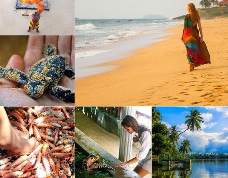 Galle and Bentota Day-Tour From Colombo - Booking Details