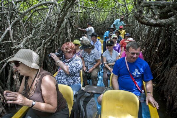 Galle and Bentota Day-Tour From Colombo by Luxury Vehicle - Madu River Boat Ride