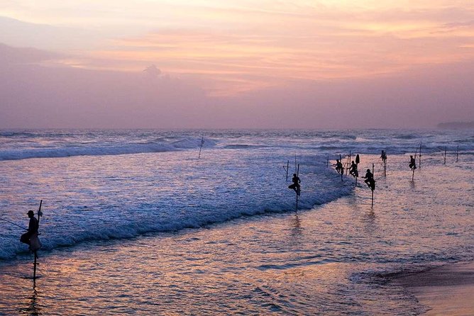 Galle and Colombo Shore Excursion - Stilt Fishermen Encounter