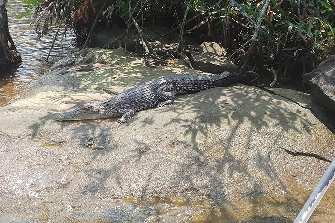 Galle & Bentota River Safari Private Tour From Cinnamon Bay Beruwala Hotel - Booking and Pricing Details