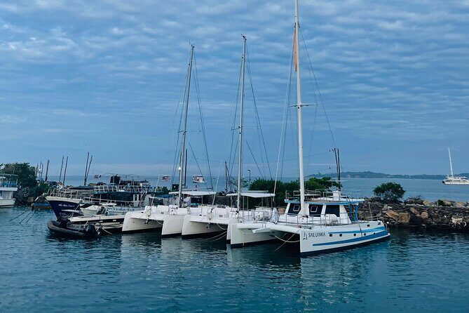 Galle Coast Explorer Scenic Train River Safari and Heritage Sites - Final Thoughts: Who Is It for?