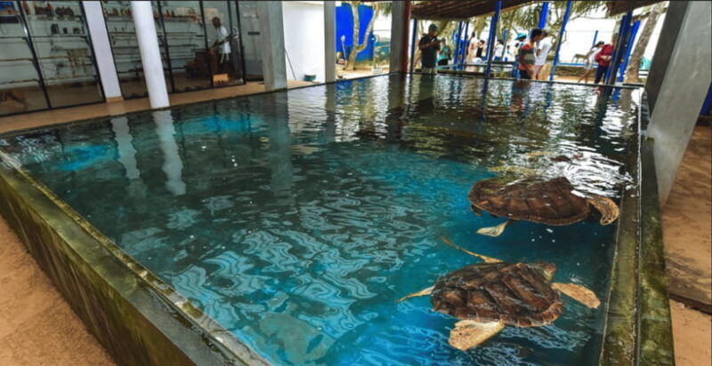 Galle Coastal Heritage & Culture Tour from Colombo - FAQ