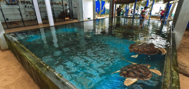 Galle Coastal Heritage & Culture Tour from Colombo - An In-Depth Look at the Galle Coastal Heritage & Culture Tour